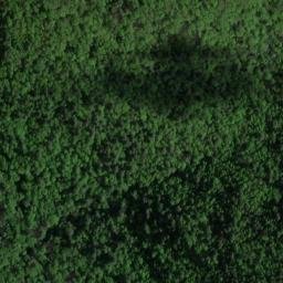 Satellite imagery of Brown Point, US