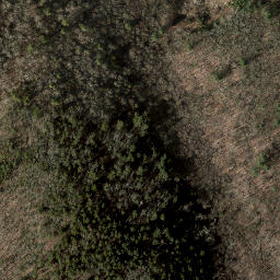 Satellite imagery of Kelly Slide, US