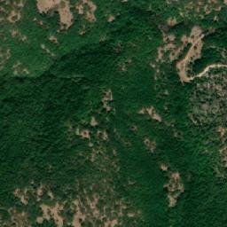 Satellite imagery of TT29, GR