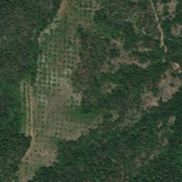 Satellite imagery of Izgorelia Burun, BG