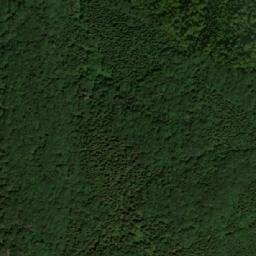 Satellite imagery of Shabanitsa, BG