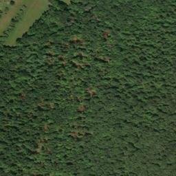Satellite imagery of Oak Ridge, US