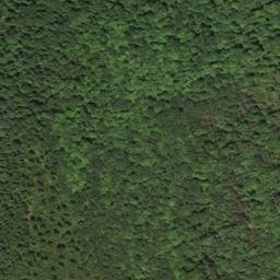 Satellite imagery of Oak Ridge, US