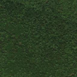 Satellite imagery of Bunnell Ridge, US