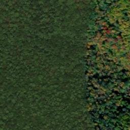 Satellite imagery of Bunnell Ridge, US