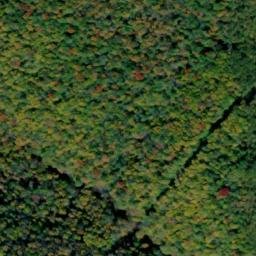 Satellite imagery of Bunnell Ridge, US