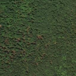 Satellite imagery of Oak Ridge, US