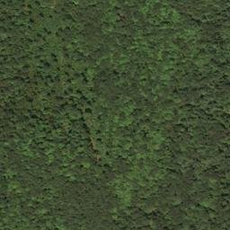 Satellite imagery of Oak Ridge, US