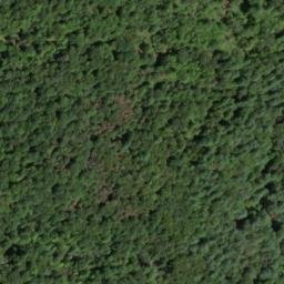 Satellite imagery of The Neck, US