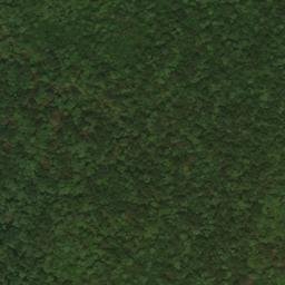 Satellite imagery of Bunnell Ridge, US