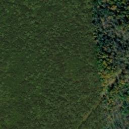 Satellite imagery of Bunnell Ridge, US
