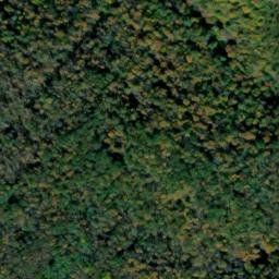 Satellite imagery of Bunnell Ridge, US