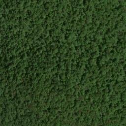 Satellite imagery of Lloyd Point, US