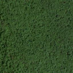 Satellite imagery of Lloyd Point, US
