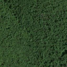 Satellite imagery of Lloyd Point, US