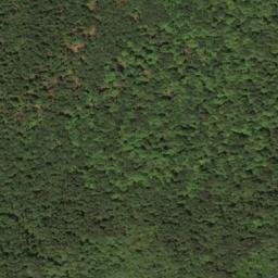 Satellite imagery of Oak Ridge, US