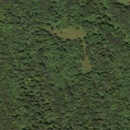 Satellite imagery of Oak Ridge, US