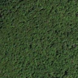 Satellite imagery of The Neck, US