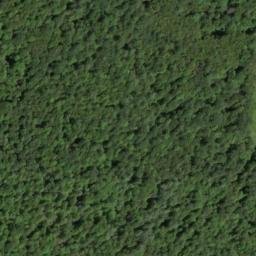 Satellite imagery of The Neck, US