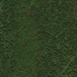 Satellite imagery of Bunnell Ridge, US