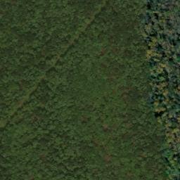 Satellite imagery of Bunnell Ridge, US