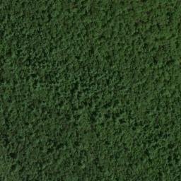 Satellite imagery of Lloyd Point, US
