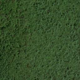 Satellite imagery of Lloyd Point, US