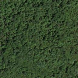 Satellite imagery of The Neck, US