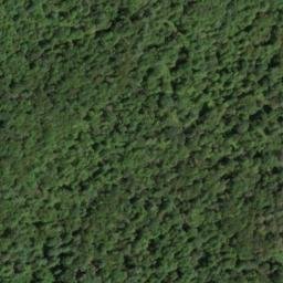 Satellite imagery of The Neck, US