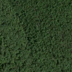 Satellite imagery of Lloyd Point, US