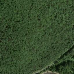 Satellite imagery of Lloyd Point, US