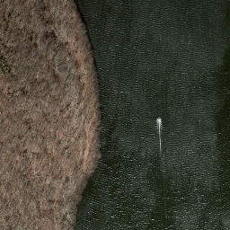 Satellite imagery of Candlewood Point, US