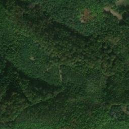 Satellite imagery of TT19, GR