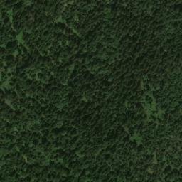 Satellite imagery of TT10, GR