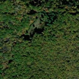 Satellite imagery of Stony Point, US