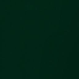 Satellite imagery of Salters Point, US