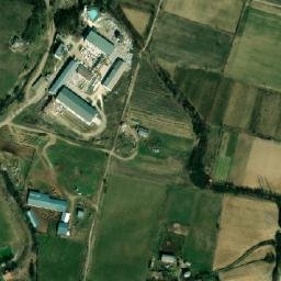 Satellite imagery of TT41, GR