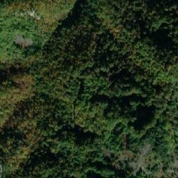 Satellite imagery of TT19, GR