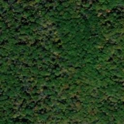 Satellite imagery of Stony Point, US