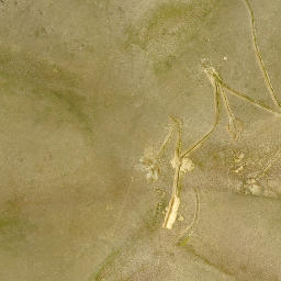Satellite imagery of Juanita Mine, US