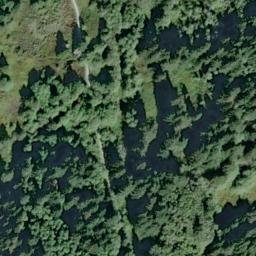 Satellite imagery of High Bluff, US
