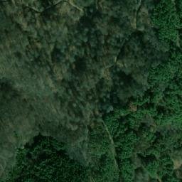 Satellite imagery of Tsarnevo, BG