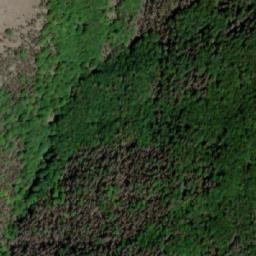 Satellite imagery of Sveshtnik, BG