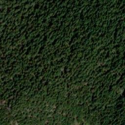 Satellite imagery of Sveshtnik, BG