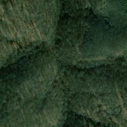 Satellite imagery of Tsarnevo, BG