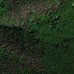 Satellite imagery of Sveshtnik, BG