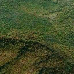 Satellite imagery of Gušterovo, MK