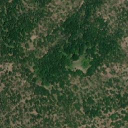 Satellite imagery of Petkova Niva, MK