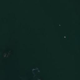 Satellite imagery of Flint Point, US