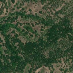 Satellite imagery of Petkova Niva, MK